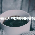 空城的头像