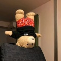 圈钱的头像
