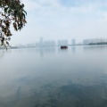 128261385的头像