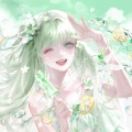 星觅的头像