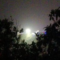 逆风借好力的头像