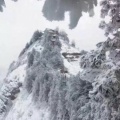 人生的头像