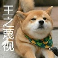 凤晓柒的头像