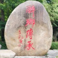 善良的学霸在游泳的头像