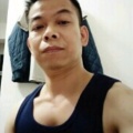 西风吹瘦老马的头像
