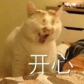 喵喵喵的头像