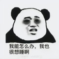 想翻身的天蓬208斤的头像