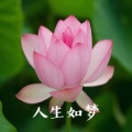 路人甲的头像