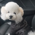 书友360094475的头像