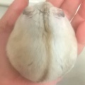 楣阁的头像