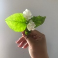 万事如意的头像