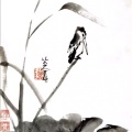 葉竹隨風而動的头像