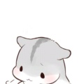 陌陌酱的头像