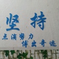 老五的头像