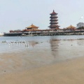 海之韵的头像