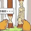 阳台上的猫的头像