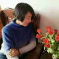 书友749523215的头像
