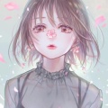 芍药缘浅的头像