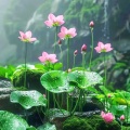 迷茫的飞剑的头像