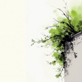 .清茶.的头像