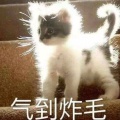 快乐的白骨精在挖坑的头像