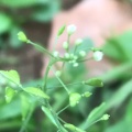 哦豁豁的头像