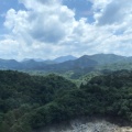 范懿文的头像