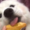 北怀♡的头像