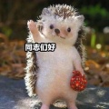 暖风扇的头像