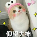 migina的头像