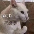 喷水麦克风的头像