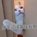 囚心锁的头像