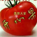 书友 4824254535的头像