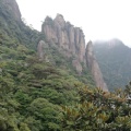 黄山的头像