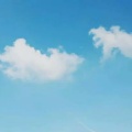 书友1180674240的头像