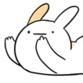 兔兔的头像