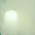 书友 2081827502的头像