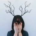 本作者更新很慢的头像