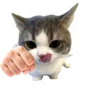SQ今天倒闭了吗的头像