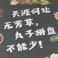 书友904730350的头像