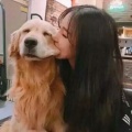 书友685055456的头像