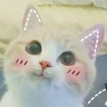 小水滴的头像