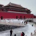 嘟嘟的头像
