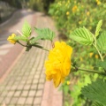 书友932343416的头像