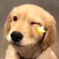RRRita的头像