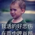 书友426499619的头像