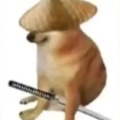 cheems的头像