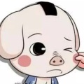 爱冒险的猪的头像