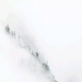 书友924951991的头像