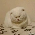 小伙子的头像